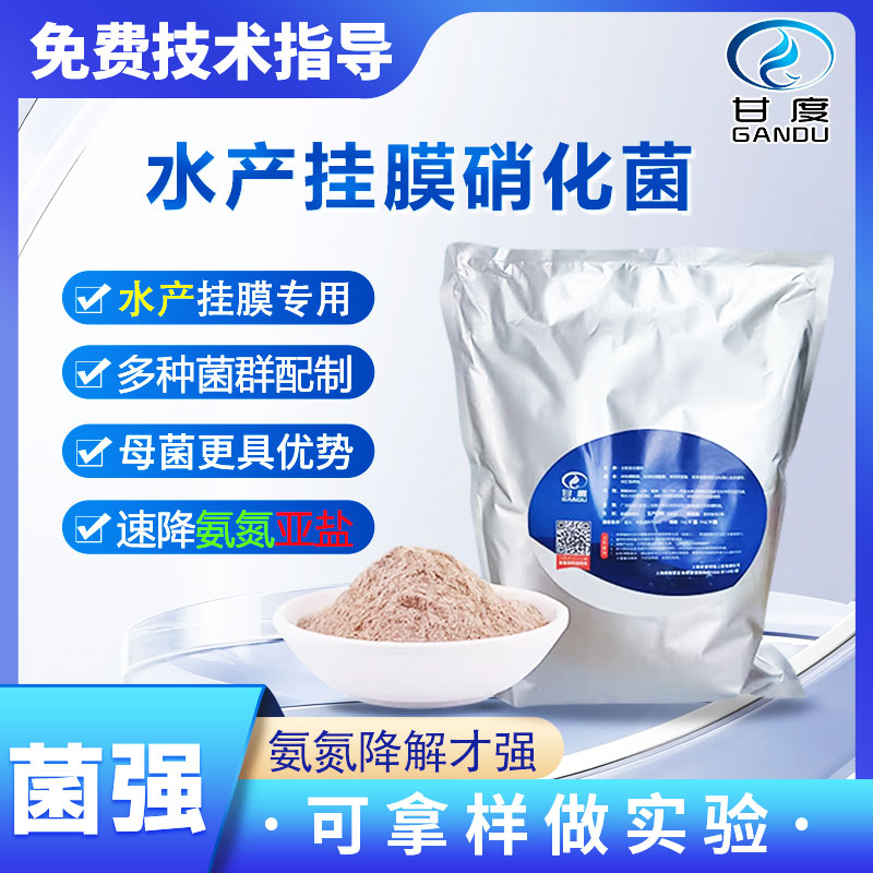 水产挂膜硝化菌丨循环水养殖废水用